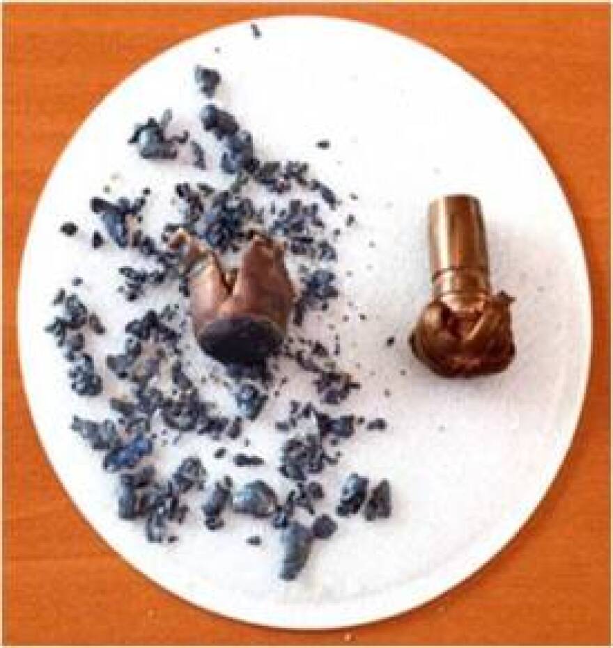 Two .270 caliber bullets that were shot into a modified rain barrel  show the copper jacket lead-core bullet, left, is heavily fragmented compared to the solid copper bullet, right, that retained its original shape upon impact.